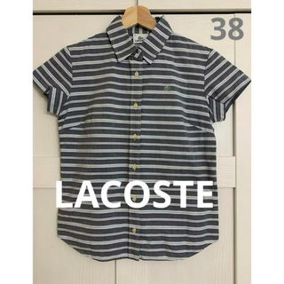 LACOSTE - ラコステ　半袖ブラウス　レディース　38