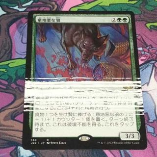 マジックザギャザリング(マジック：ザ・ギャザリング)のMTG エラーカード 23枚(シングルカード)