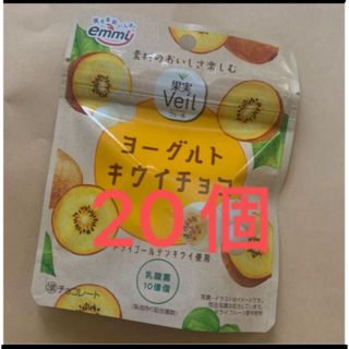 ヨーグルトキウイチョコ　20個　乳酸菌(菓子/デザート)