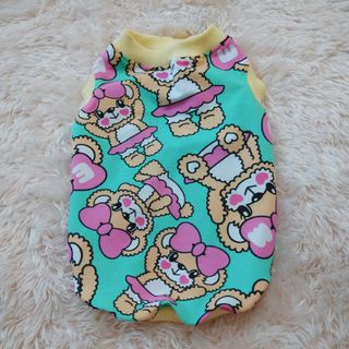 犬服　Tシャツニット　Ｍ(ペット服/アクセサリー)