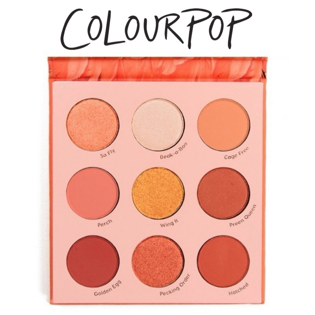 colourpop(カラーポップ)のcolour pop♡ eyeshadow pallet コスメ/美容のベースメイク/化粧品(アイシャドウ)の商品写真