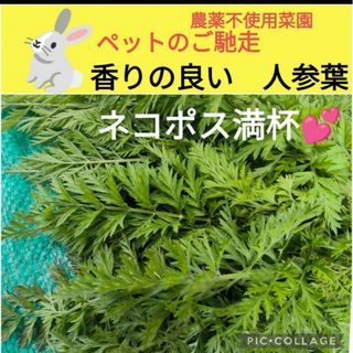 人参葉 若葉　　200g以上〜ネコポスsize満杯！！(野菜)