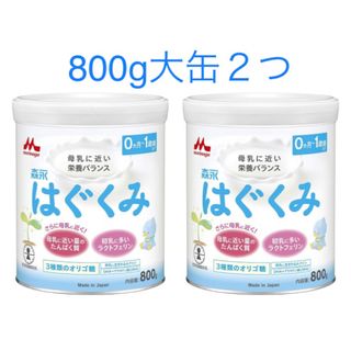 森永乳業 - 森永 はぐくみ 大缶(800g) 2つ　新品未開封