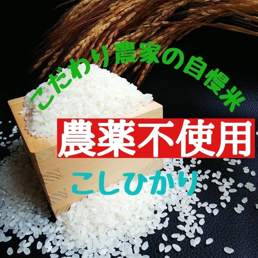 こだわり農家の自慢米  白米5㎏(無農薬栽培)　　　　　令和5年産 食品/飲料/酒の食品(米/穀物)の商品写真