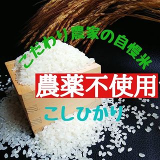 こだわり農家の自慢米  白米5㎏(無農薬栽培)　　　　　令和5年産(米/穀物)