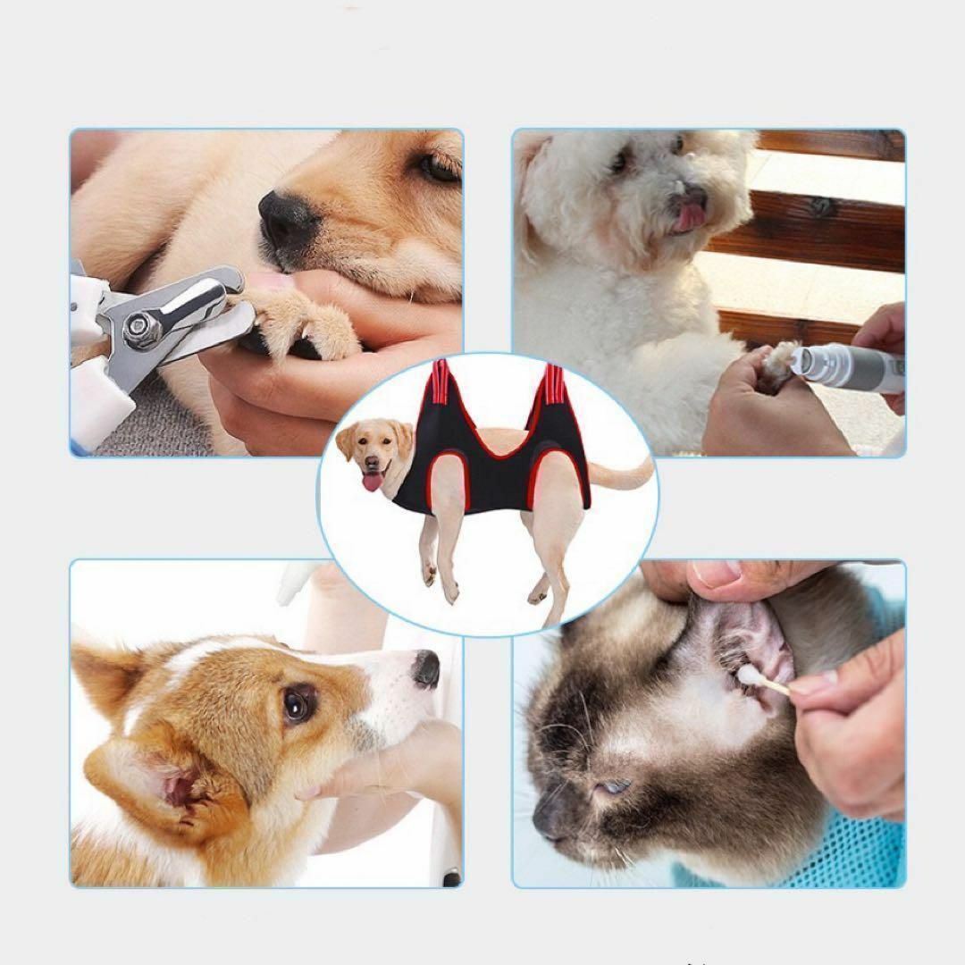 犬 猫 ハンモック Sサイズ ブルー ペットトリミング 爪切り 耳掃除 その他のペット用品(犬)の商品写真