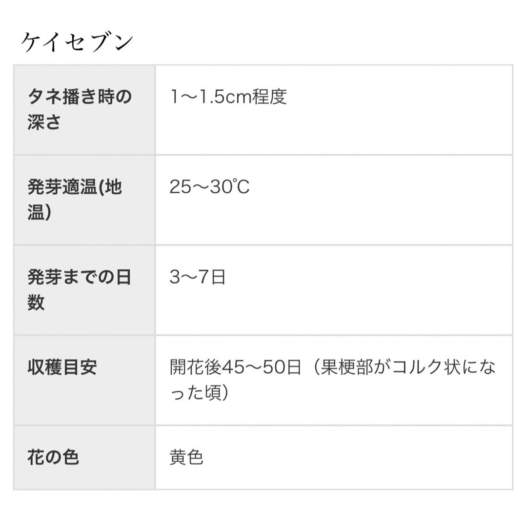 【国内育成・採取】 ケイセブン 家庭菜園 種 タネ カボチャ 南瓜 野菜 食品/飲料/酒の食品(野菜)の商品写真