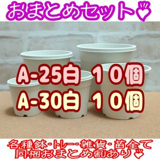 プラ鉢20個おまとめセット♪【A-25・A-30 各10個】プレステラ多肉(プランター)