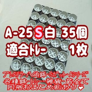 プラ鉢【A-25S】35個+専用システムトレー黒1枚スリット鉢プレステラ多肉植物(プランター)