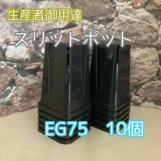 ◎10個◎ロング スリットポット EG-75L slitpot プラ鉢(プランター)