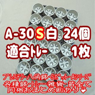 プラ鉢【A-30S】24個+専用システムトレー1枚 スリット鉢プレステラ多肉植物(プランター)