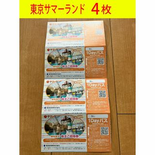 東京都競馬　株主優待券　東京サマーランド　フリーパス　4枚セット　匿名発送