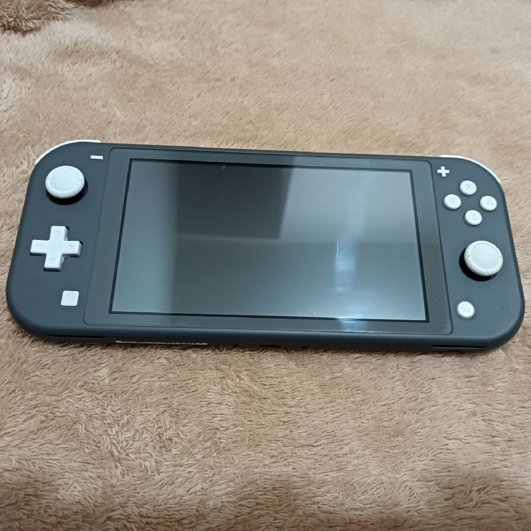 Nintendo Switch Lite グレー あつまれどうぶつの森付き エンタメ/ホビーのゲームソフト/ゲーム機本体(その他)の商品写真