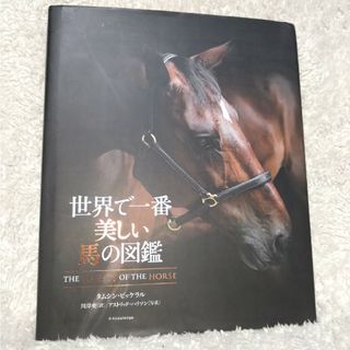 世界で一番美しい馬の図鑑(趣味/スポーツ/実用)