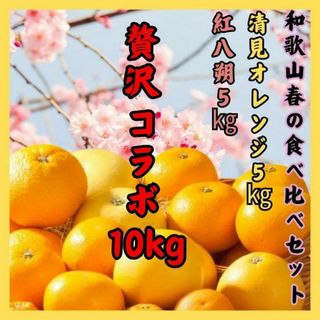 贅沢柑橘セット！清見みかん 紅はっさく 訳あり 10㎏ 減農薬 きよみ 和歌山(フルーツ)