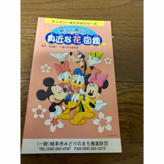 ディズニーみどりのシリーズ　親子で調べる身近な花図鑑(住まい/暮らし/子育て)