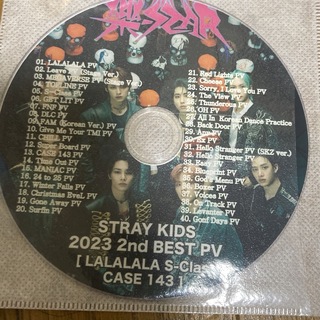 Stray kids スキズ  ストレイキッズ　DVD dvd(アイドル)