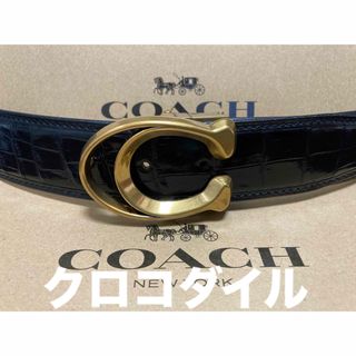 コーチ(COACH)のCOACHコーチ☆バックル☆本物☆クロコダイルベルト☆新品未使用☆今週限定値下(ベルト)