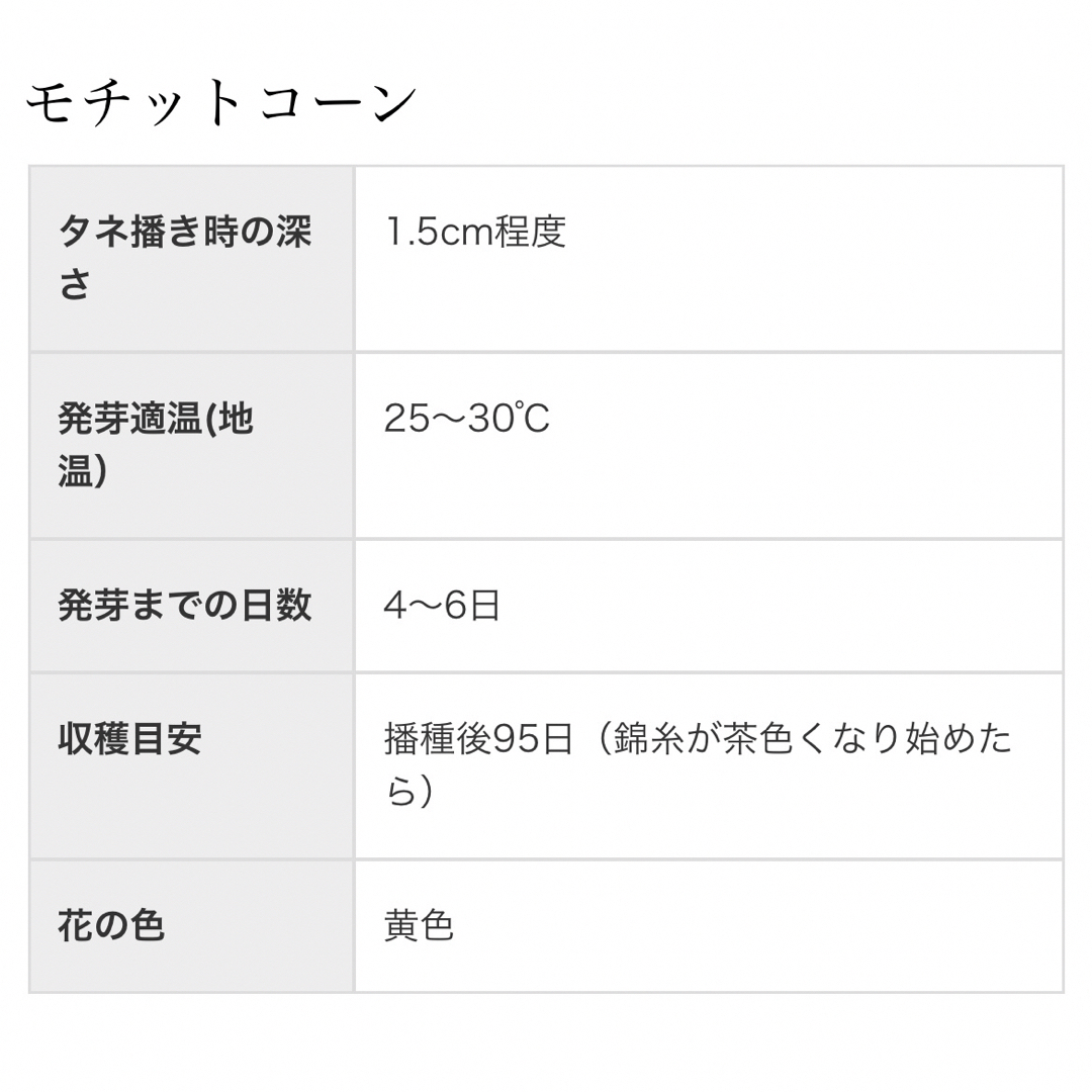 【国内育成・採取】 モチットコーン 家庭菜園 種 タネ とうもろこし 野菜 食品/飲料/酒の食品(野菜)の商品写真