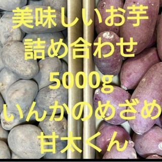 美味しいお芋の詰め合わせ(野菜)