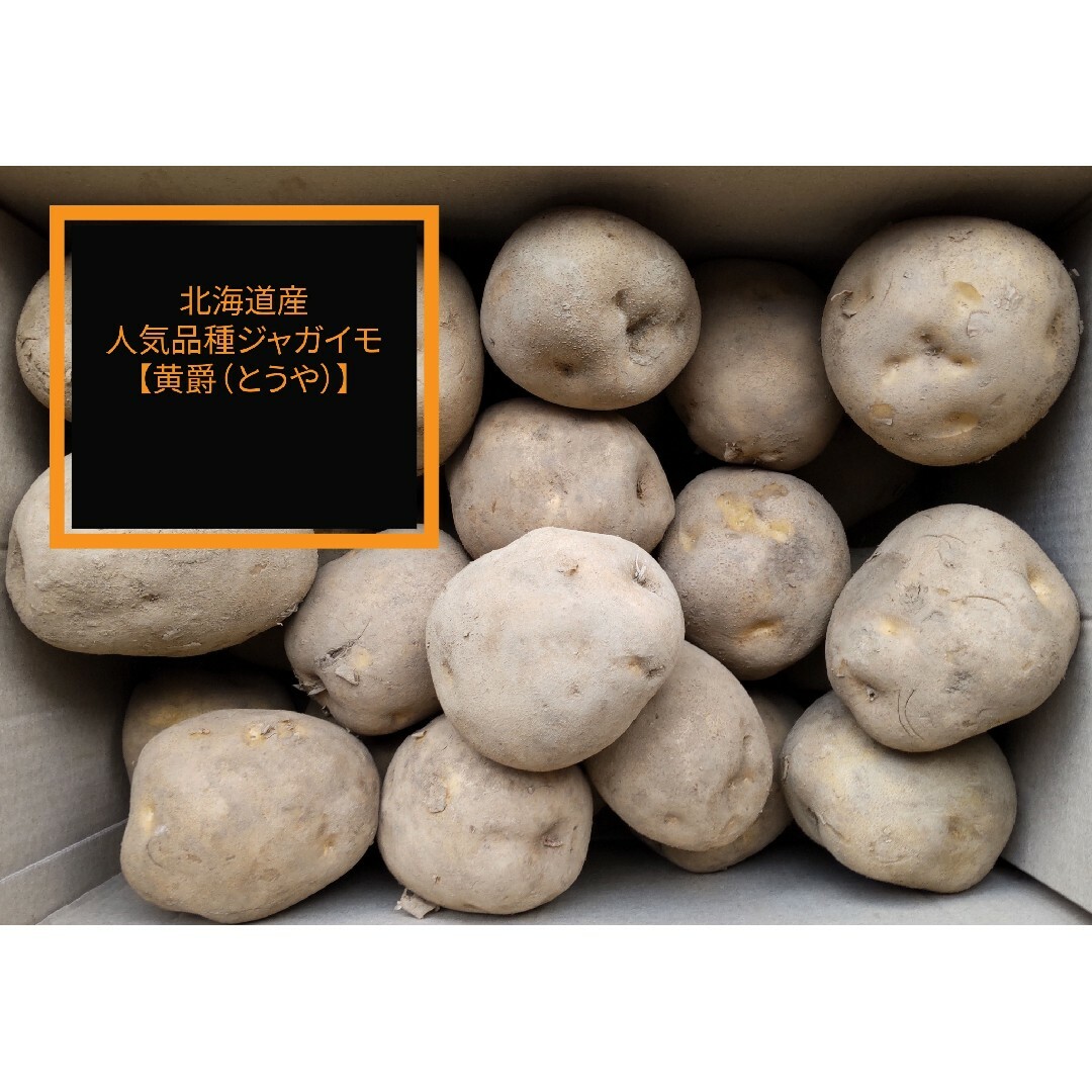 ◆越冬ジャガイモ 北海道産 カレーや煮物に相性が良い人気品種ジャガイモ 食品/飲料/酒の食品(野菜)の商品写真