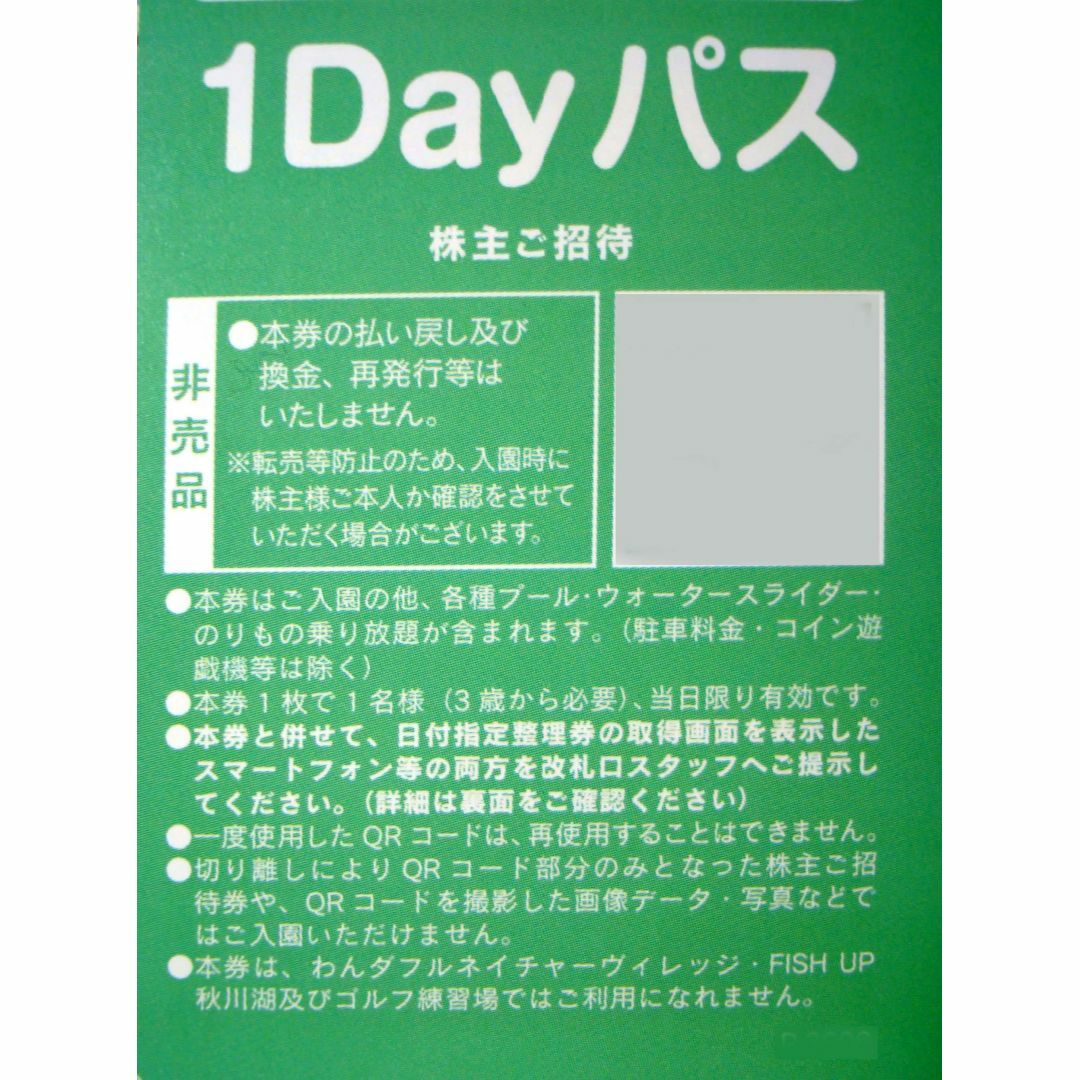 4枚☆東京サマーランド  株主ご招待券 ■ プール フリーパス 株主優待 チケットの施設利用券(遊園地/テーマパーク)の商品写真