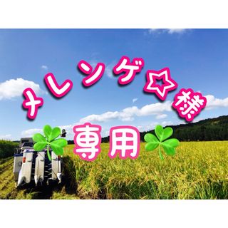 メレンゲ☆様✨専用令和5年兵庫県産ヒノヒカリ20kg送料•精米無料•時間指定🆗(米/穀物)