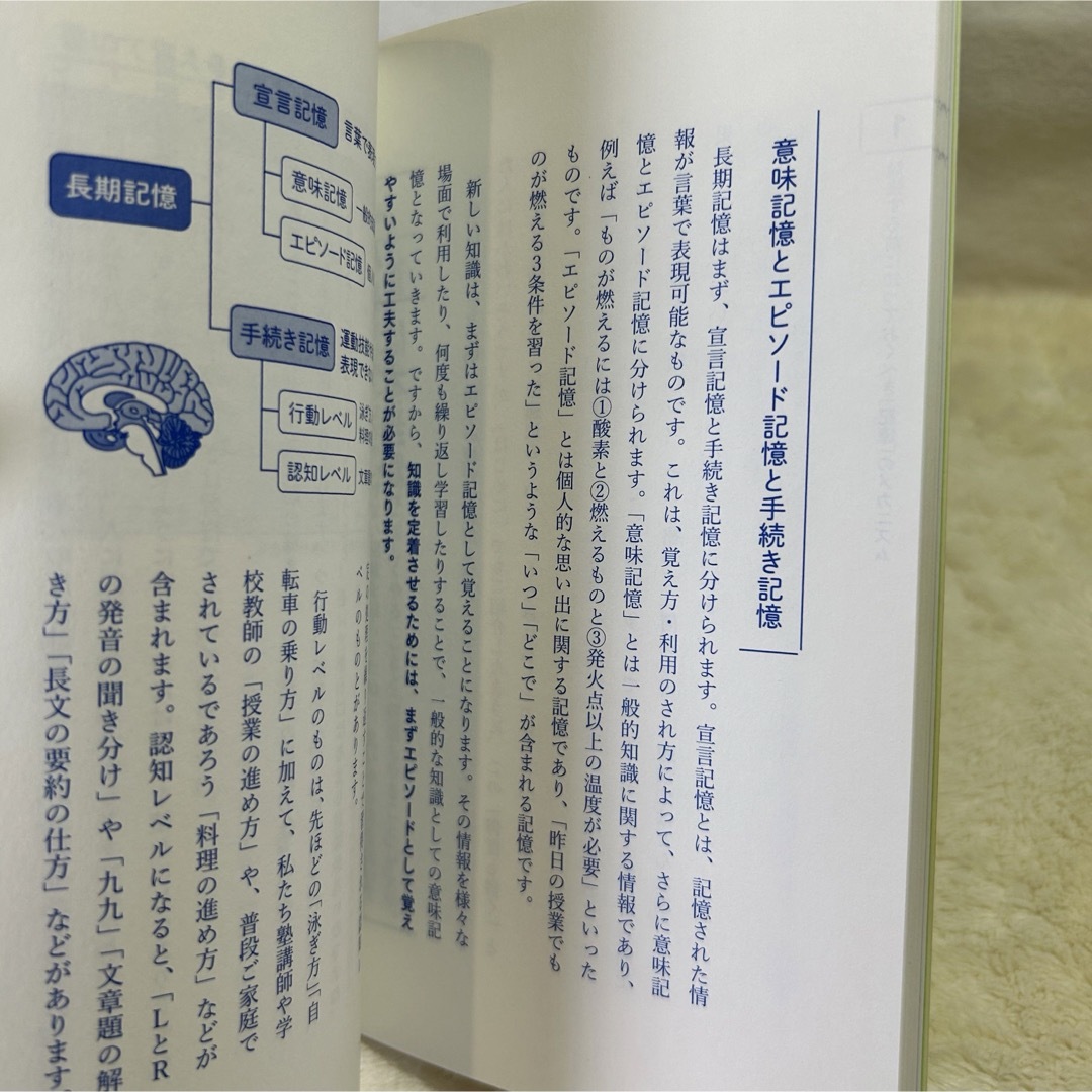 【美品】小学生の子の成績に最短で直結する勉強法 記憶を科学的に分析してわかった エンタメ/ホビーの本(その他)の商品写真