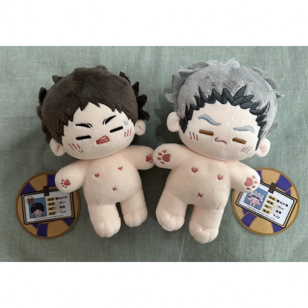 ☆【特典付き】ハイキュー!! 木虎光太郎・赤葦京治 15cm 着せ ☆【特典付き】ハイキュー!! 木虎光太郎・赤葦京治 15cm 着せ