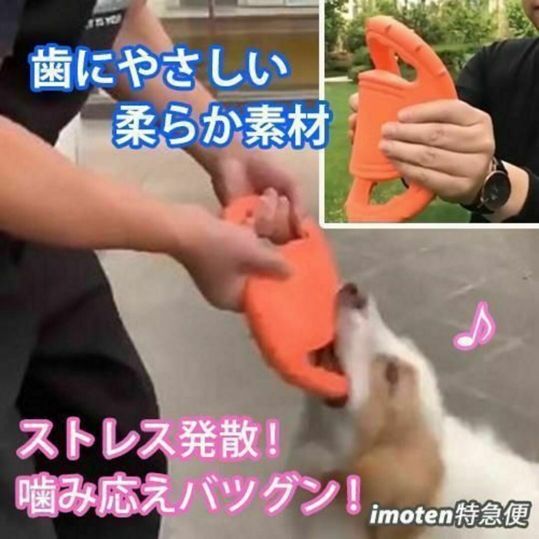 犬用フリスビー　ドッグフリスビー　投げるおもちゃ ストレス解消 オレンジ ① その他のペット用品(犬)の商品写真