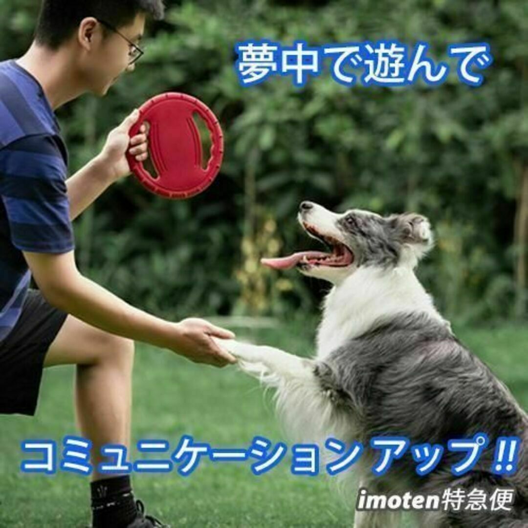 犬用フリスビー　ドッグフリスビー　投げるおもちゃ ストレス解消 オレンジ ① その他のペット用品(犬)の商品写真