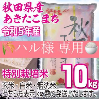 令和５年産 秋田県産 【特別栽培米】 あきたこまち１０kg 無洗米も対応(米/穀物)