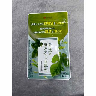 ワカンノモリ(和漢の森)の和漢の森 カテキンの恵み 120粒入×1袋  (ダイエット食品)