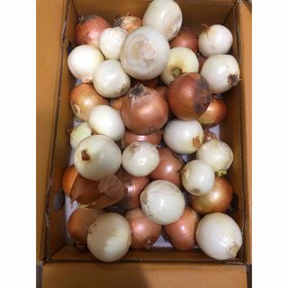 506.お買い得訳あリ玉ねぎ箱込20kg(野菜)