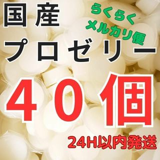 KBファーム プロゼリー ワイドカップ 40個 クワガタ カブトムシ 昆虫ゼリー(虫類)