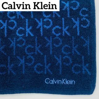 Calvin Klein - 美品 ★Calvin Klein★ タオルハンカチ メンズ ロゴ ネイビー