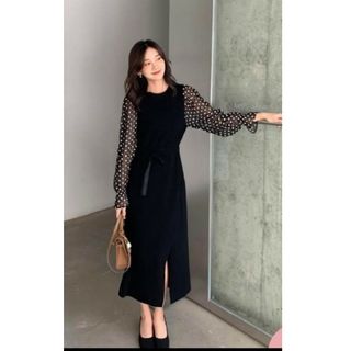 バースデーバッシュ(BIRTHDAY BASH)の新品未使用 完売品 birthdaybash SHEER DOT DRESS(ロングワンピース/マキシワンピース)