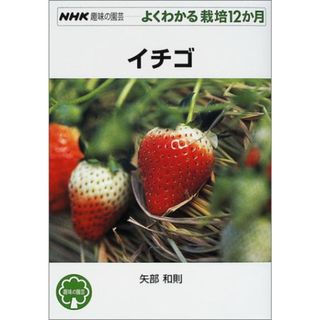 イチゴ (NHK趣味の園芸 よくわかる栽培12か月)／矢部 和則(住まい/暮らし/子育て)