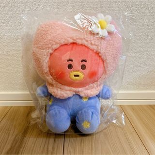 ビーティーイシビル(BT21)の新品未開封！BT21＊Spring Day ぬいぐるみ TATA(ぬいぐるみ)