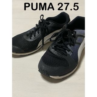 プーマ(PUMA)のPUMA スニーカー　27.5(スニーカー)