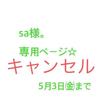 sa様。専用ページ☆