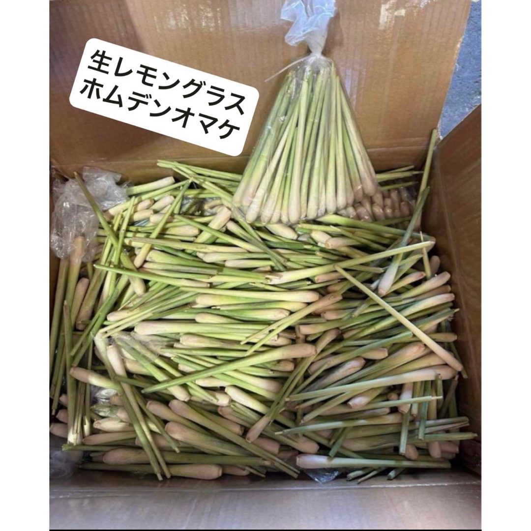 最高香り生レモングラス１５本試しホムデン３個オマケ 食品/飲料/酒の食品(野菜)の商品写真