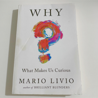 Why?: What Makes Us Curious MARIO LIVIO(洋書)