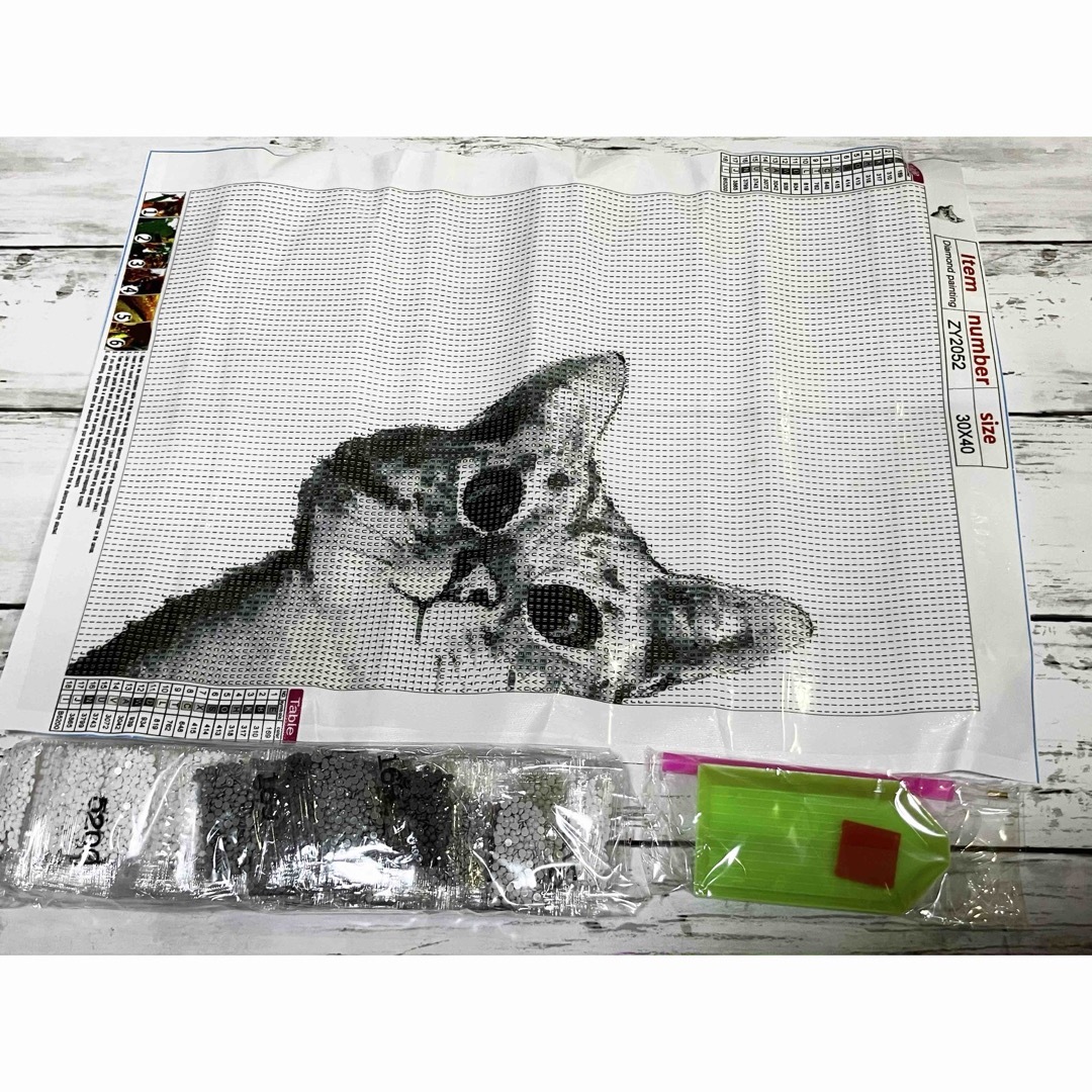 DA082♡ダイヤモンドアートキット♡猫は見た ハンドメイドのインテリア/家具(アート/写真)の商品写真