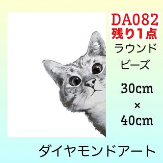 DA082♡ダイヤモンドアートキット♡猫は見た(アート/写真)