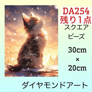 DA254♡ダイヤモンドアートキット♡夕焼け色の猫(アート/写真)