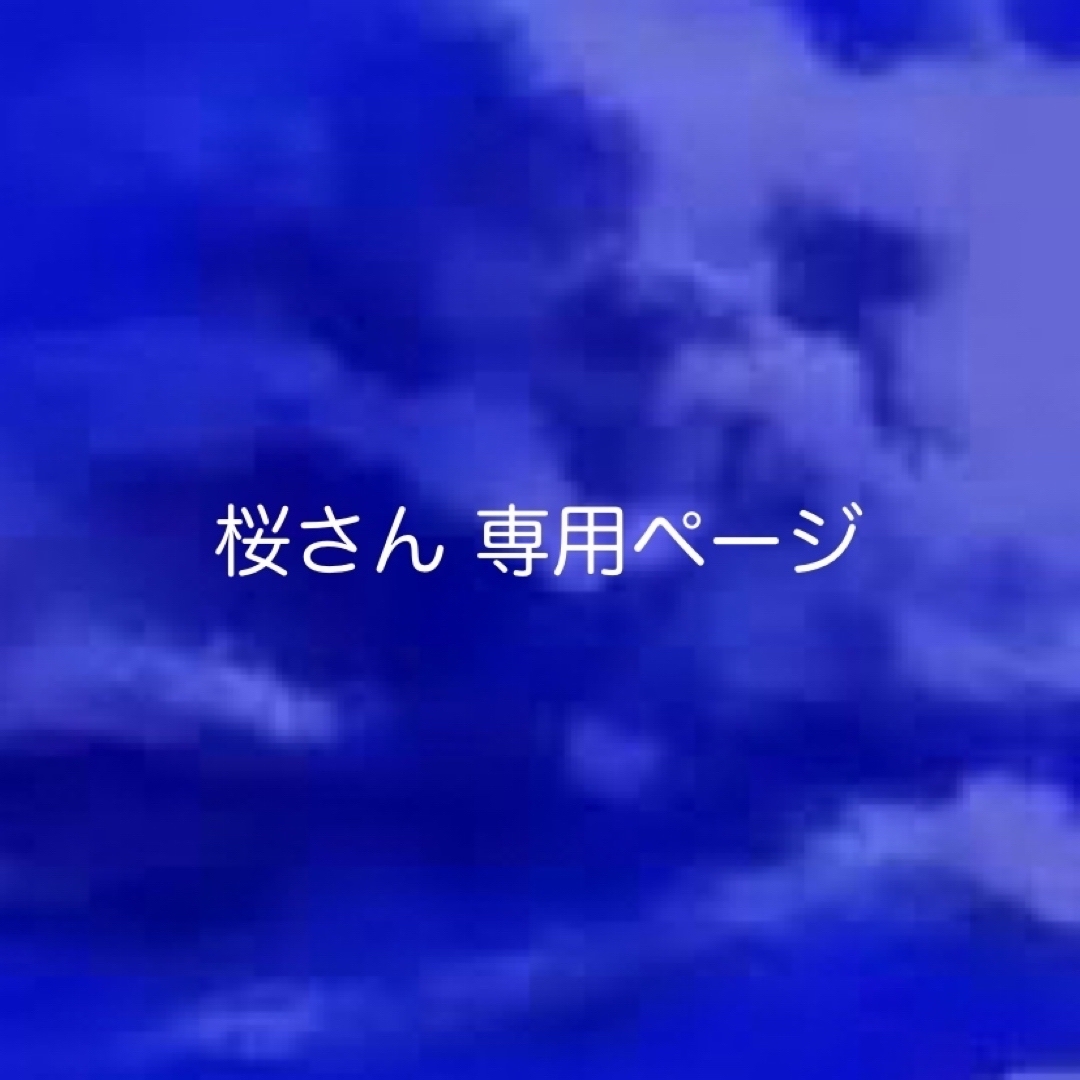 専用ページ その他のその他(その他)の商品写真