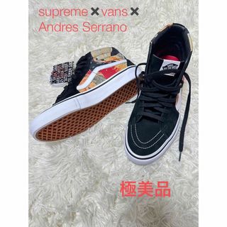 スケートハイ(SK8-HI（VANS）)の極美品　Supreme VANS AndresSerrano ハイカット　レア(スニーカー)