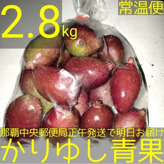 沖縄県産　摘果マンゴー/青マンゴー約2.8kg【常温便無料】①(フルーツ)