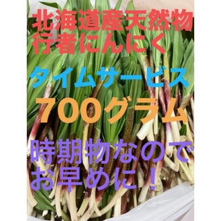 北海道産天然物行者にんにく　　700グラム(野菜)